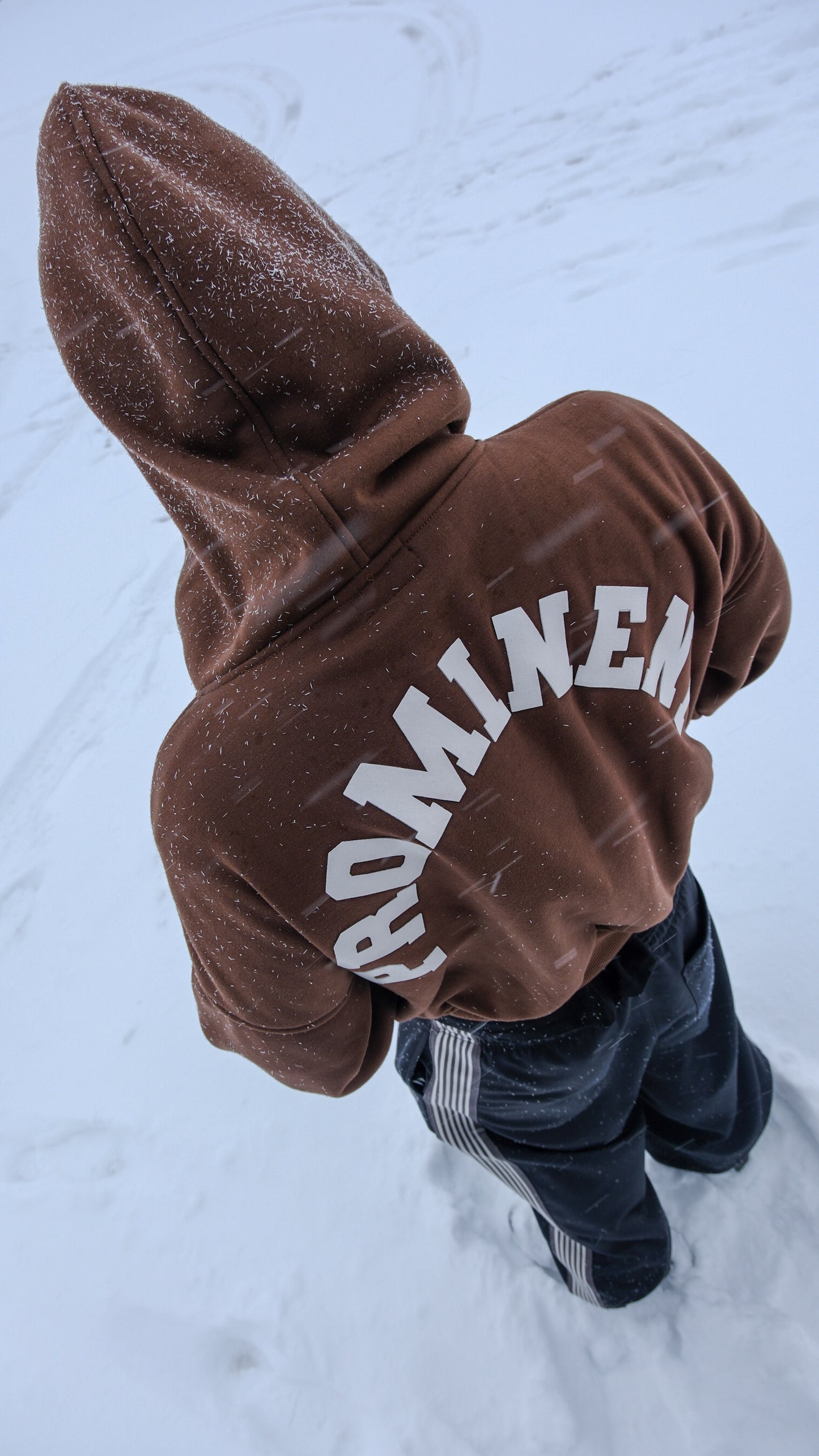 Brown Hoodie Zip