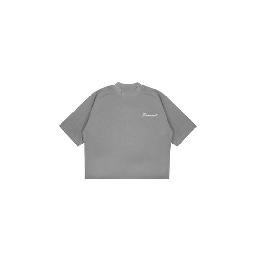 Script Logo Shirts in Gray