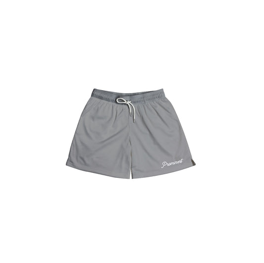 Script Logo Mesh Short in Gray