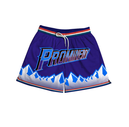 Utah Mesh Shorts