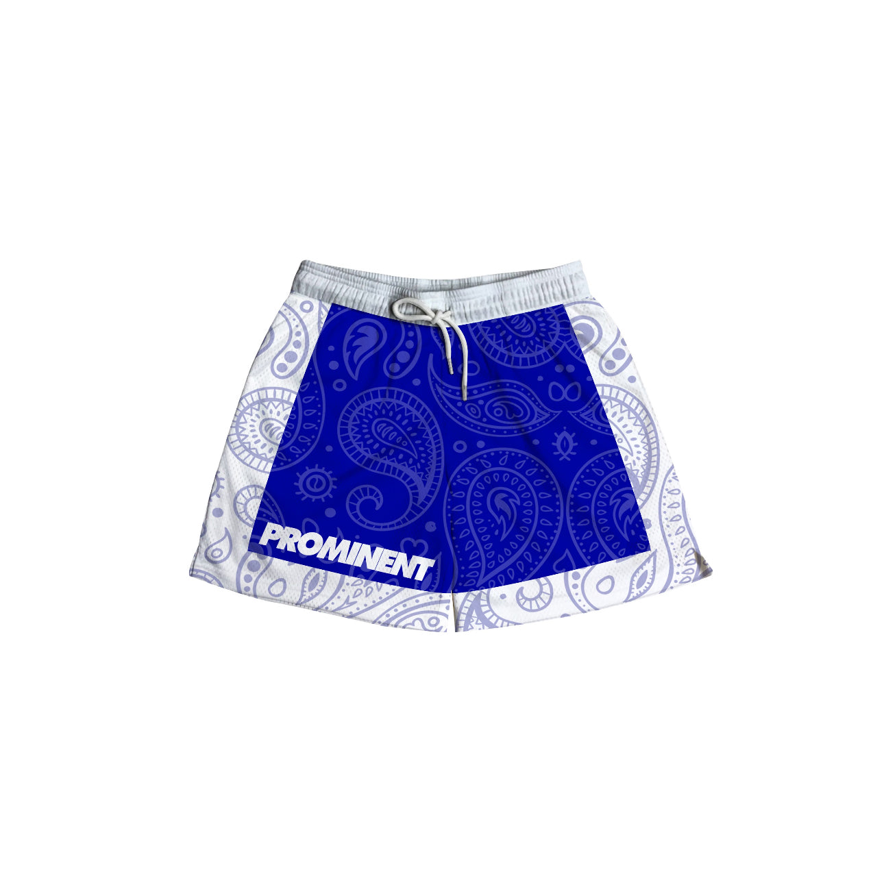 Paisley Mesh Short in Blue
