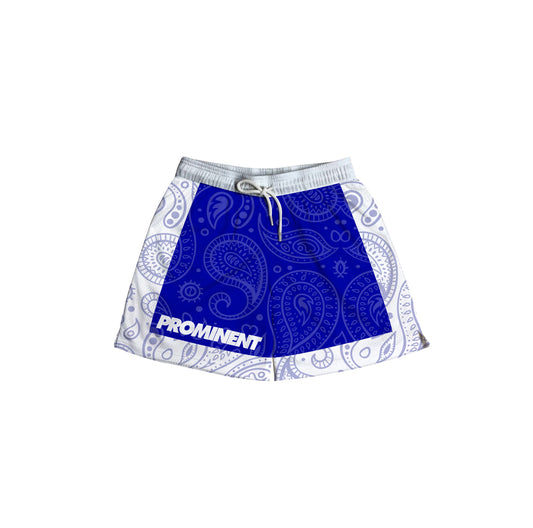 Paisley Mesh Short in Blue