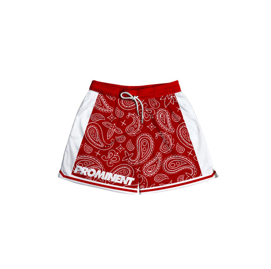 Paisley Mesh Short in Red