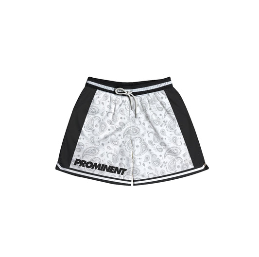 Paisley Mesh Short in White