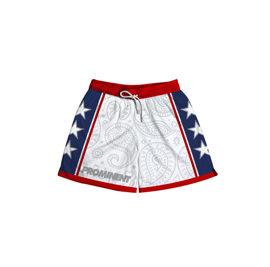 Paisley Mesh Short in Team USA Colorway